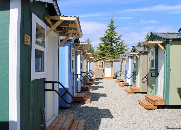 Two rows of newly built tiny homes, with a tall pine tree poking up in the background