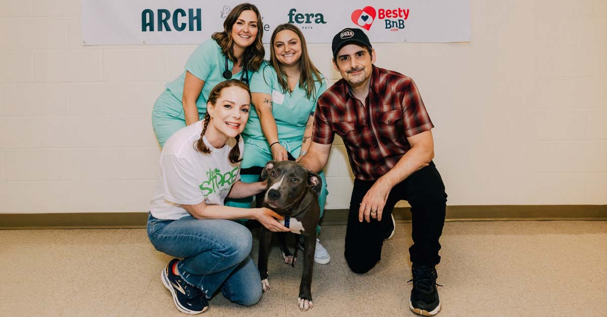 Kimberly Williams-Paisley, two veterinarians, and Brad Paisley, smile while petting a gray pit bull