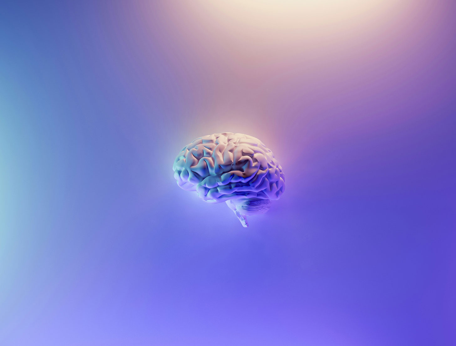 a 3D digital rendering of a brain on a purple gradient background