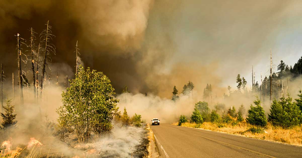 A white car drives through plumes of wildfire smoke