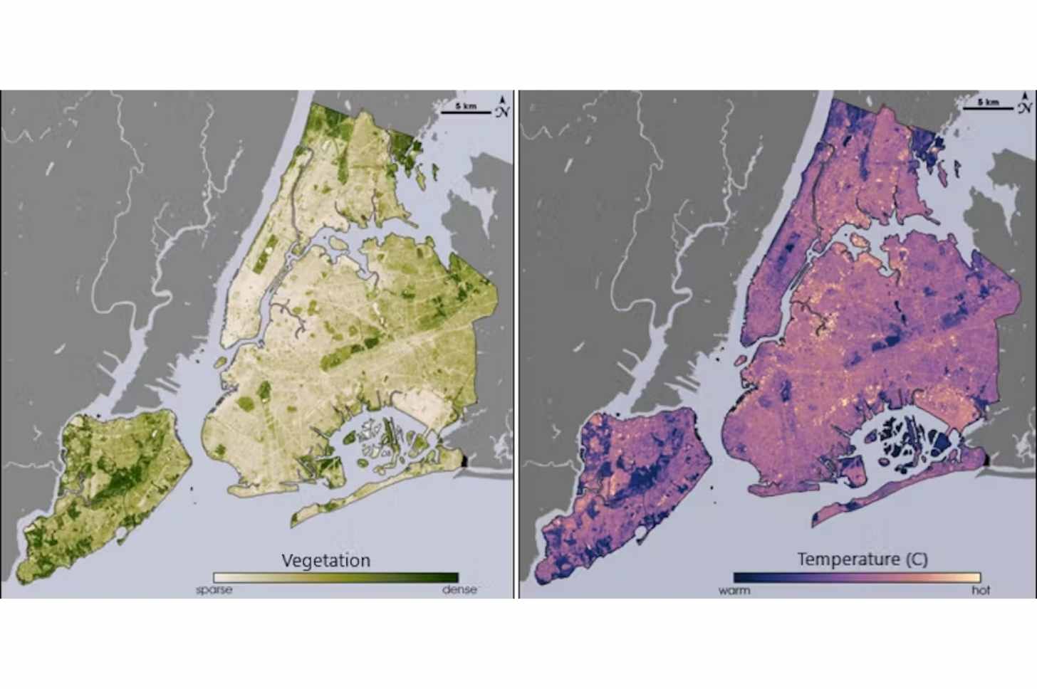 Two maps of New York City show how vegetation matches cooler areas by temperature.