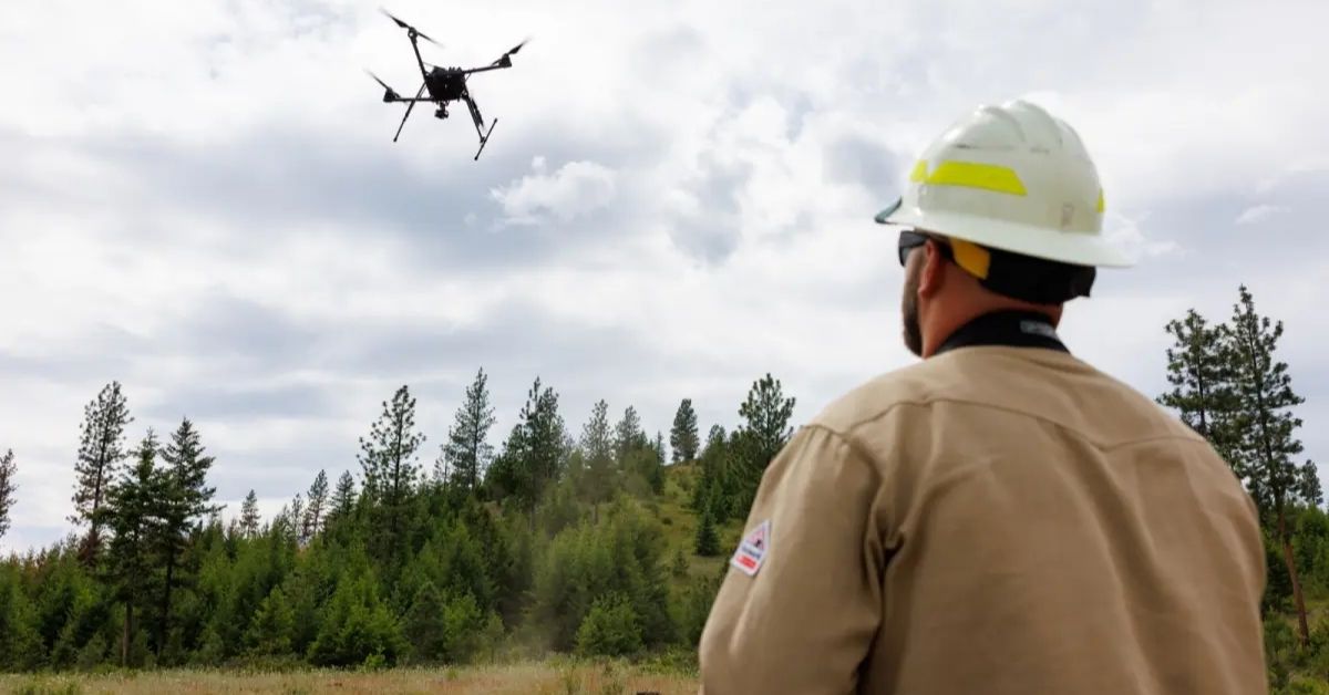 A photo shows a man in a hard hat looking up at a drone flying above a forest on a cloudy day