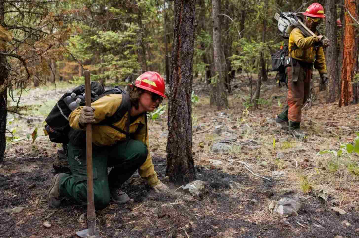 Two firefighters in the forest carrying their equipment