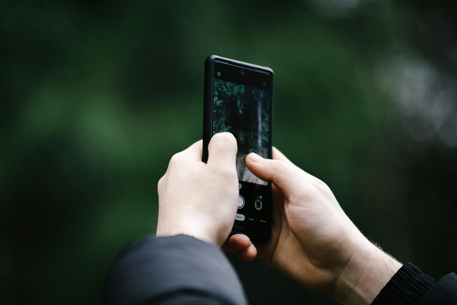 A person holds up a smartphone to take a photo of a tree