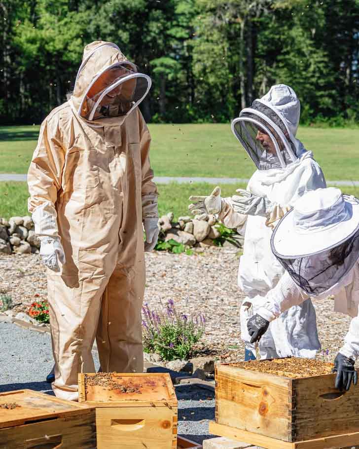 Two people in beekeeper's uniforms speak to each other while surrounded by flying bees