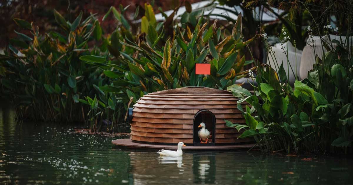 Two white ducks sit inside of a pinecone-shaped shelter in a pond