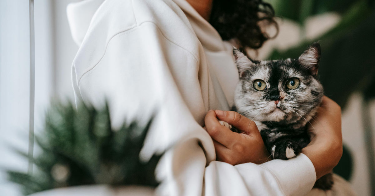 A close-up of a tortoiseshell cat in the arms of a woman, surrounded by natural light and plants