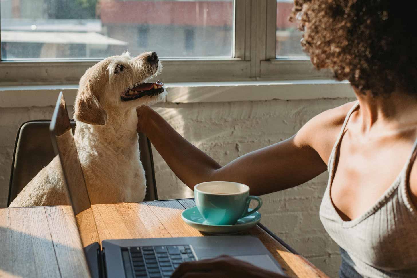 A woman sits at a table with a coffee cup and a laptop, petting a scruffy tan dog