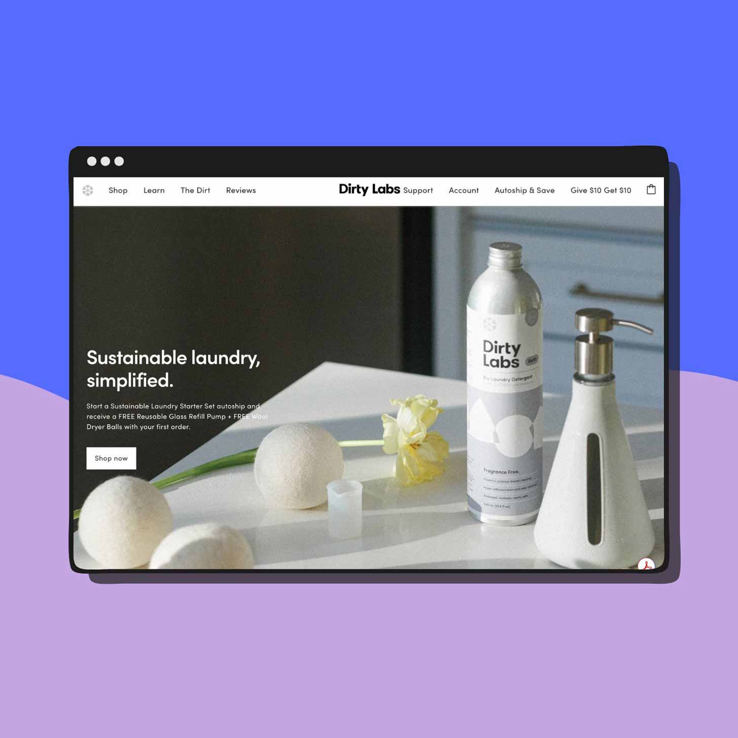A screenshot of the Dirty Labs website
