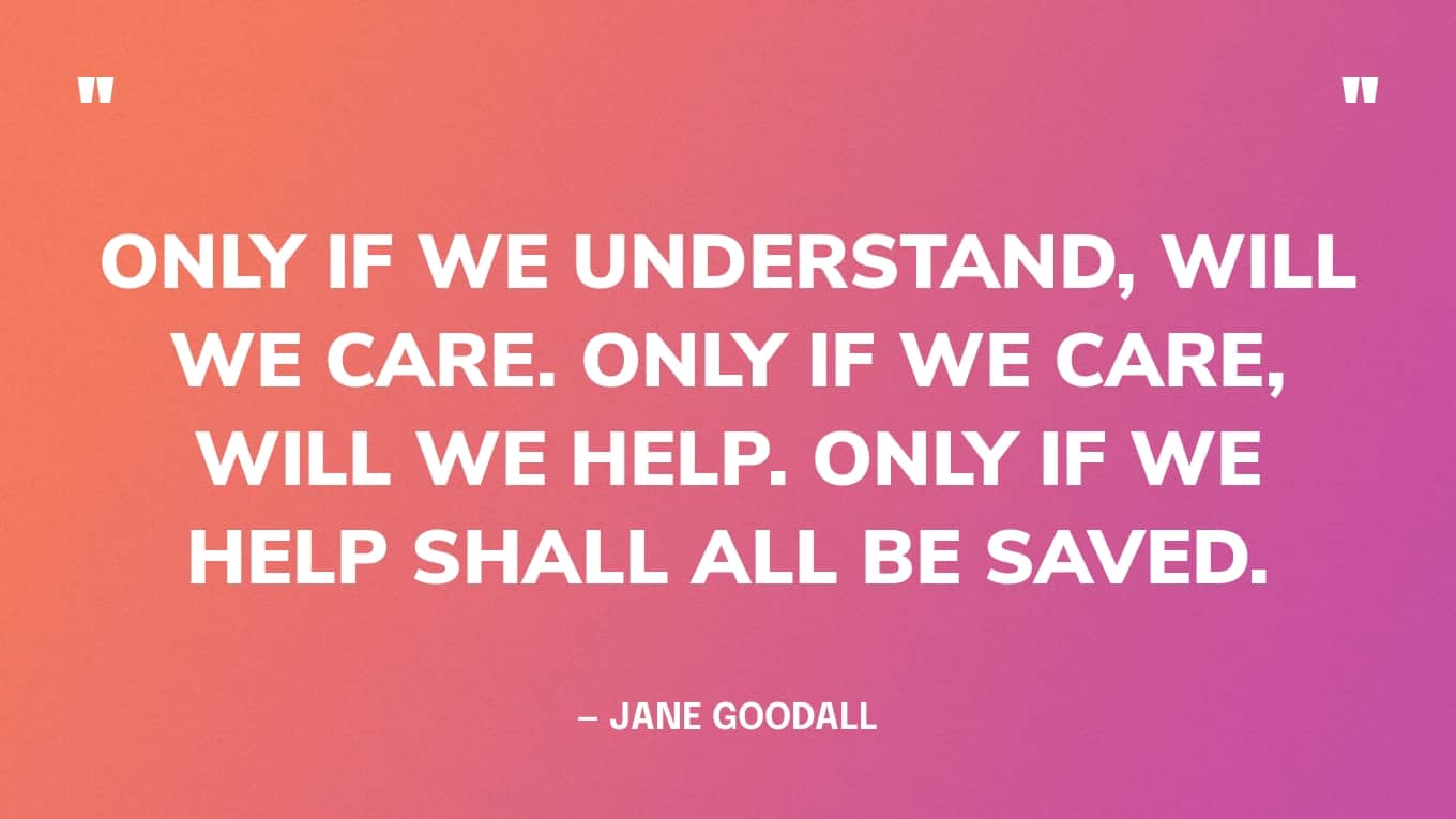 Quote: “Only if we understand, will we care. Only if we care, will we help. Only if we help shall all be saved.” — Jane Goodall