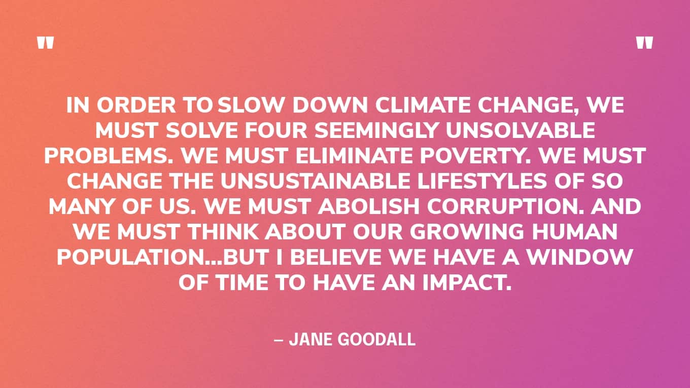 “In order to slow down climate change, we must solve four seemingly unsolvable problems. We must eliminate poverty. We must change the unsustainable lifestyles of so many of us. We must abolish corruption. And we must think about our growing human population… But I believe we have a window of time to have an impact.” — Jane Goodall