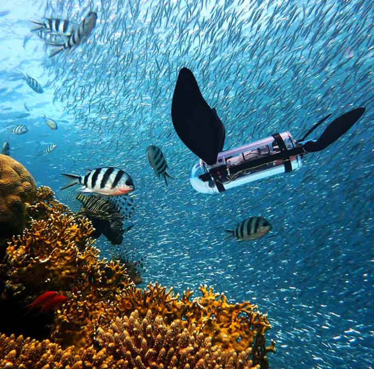 A rendering of a robot shaped like a sea turtle in a coral reef