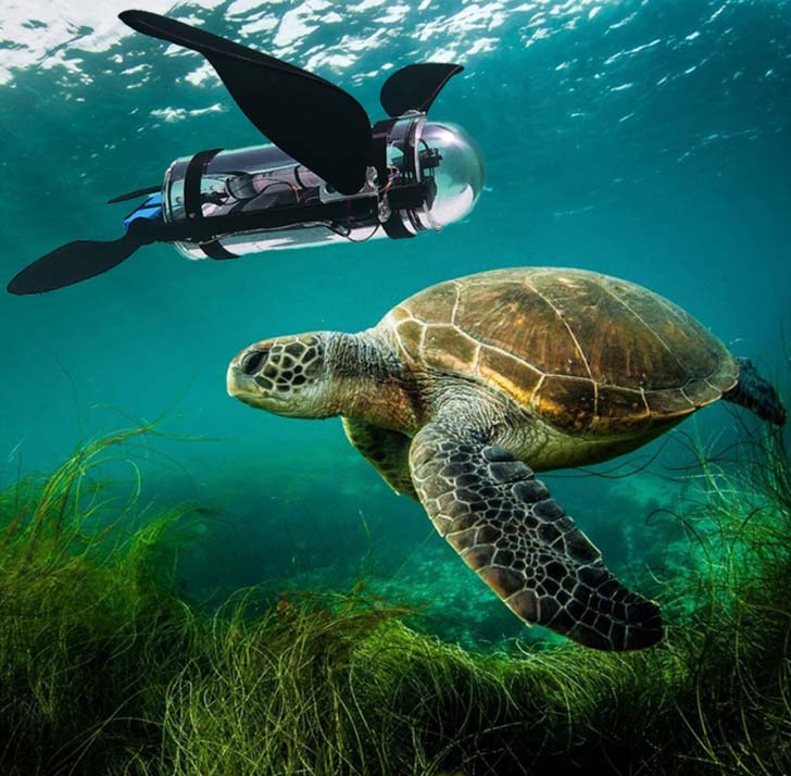 A rendering of a green sea turtle next to a turtle-inspired robot underwater