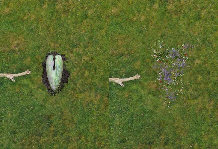 An aerial before and after of a cocoon-shaped coffin in the ground, followed by a patch of wildflowers