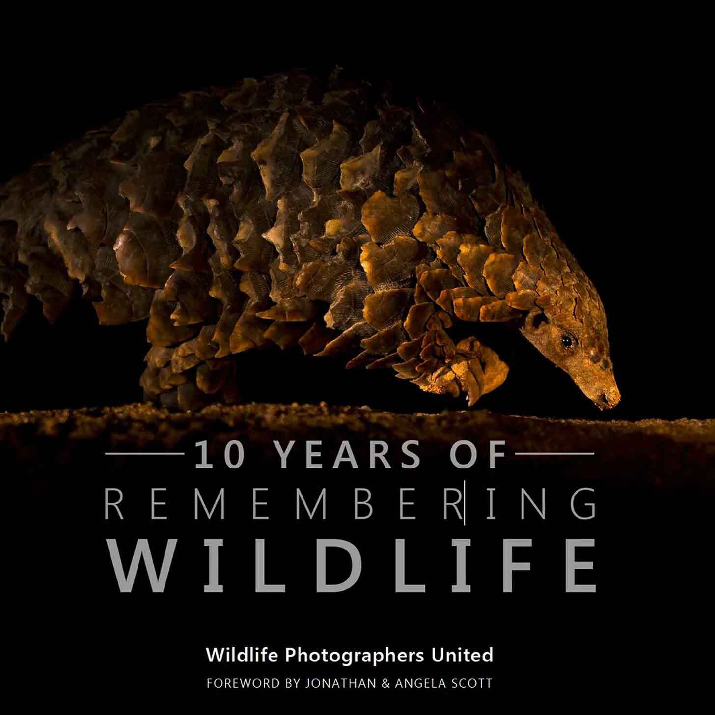 The book cover of "10 Years of Remembering Wildlife" which has a pangolin on it walking out of the dark