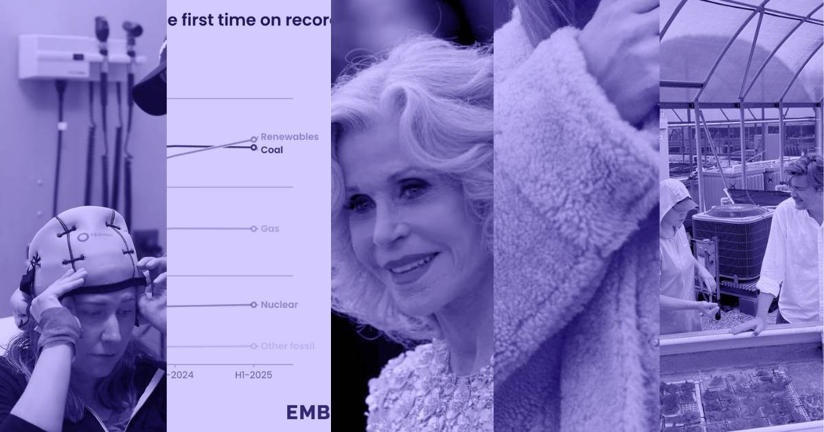 A photo collage of a woman getting a scalp cooling treatment, a line graph by Ember comparing the power generated by Renewables & Coal, Jane Fonda, the sleeve of a fur coat, and two people in front of corals inside a greenhouse