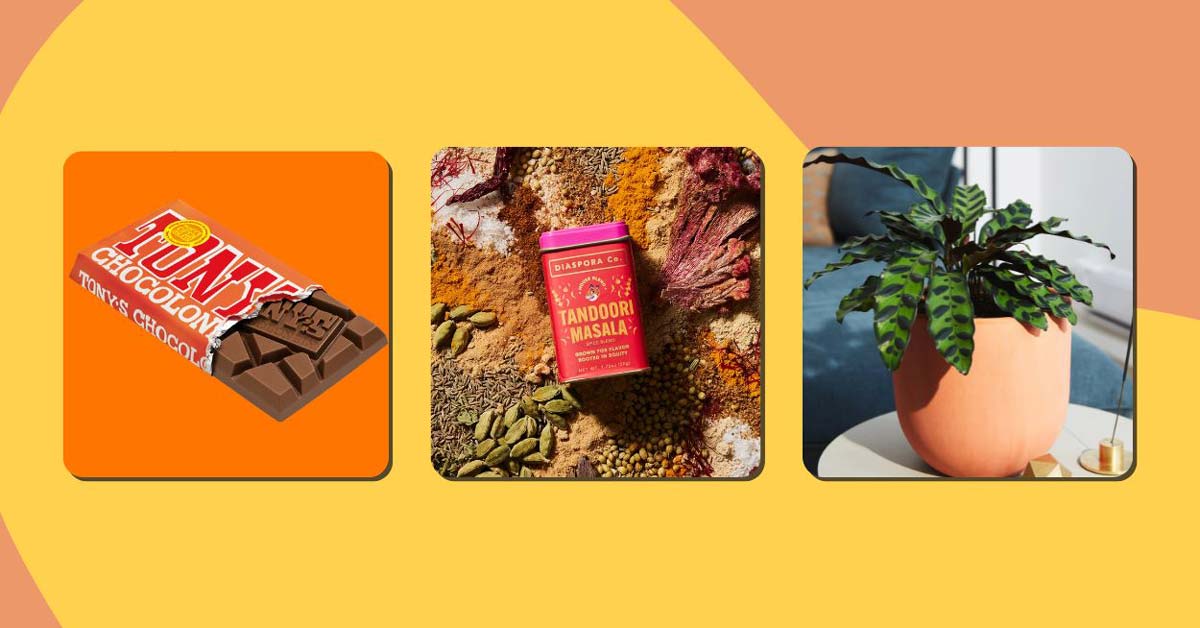 Three consumable gifts including chocolate, stationery, spices, and a plant