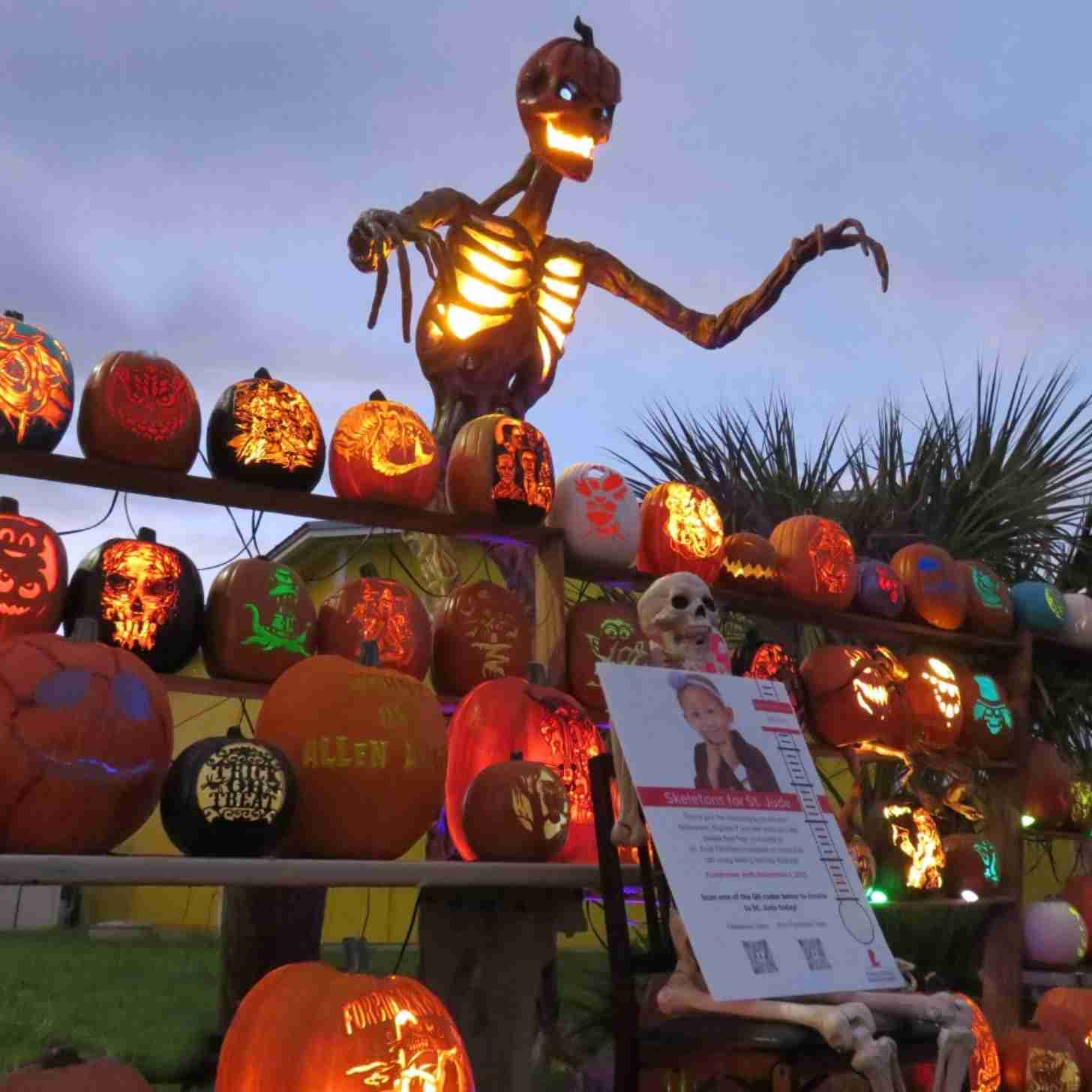 A tall skeleton decoration glowing orange as it lords over jack-o-lanterns
