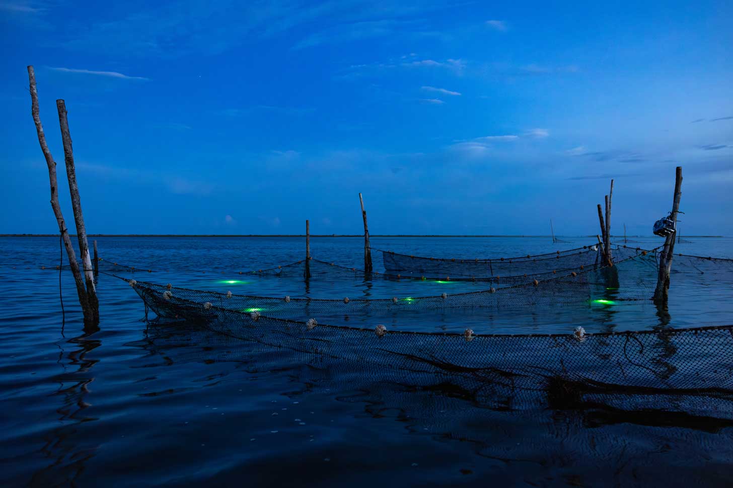 Under an inky blue sky, green LED lights illuminate a fishing net