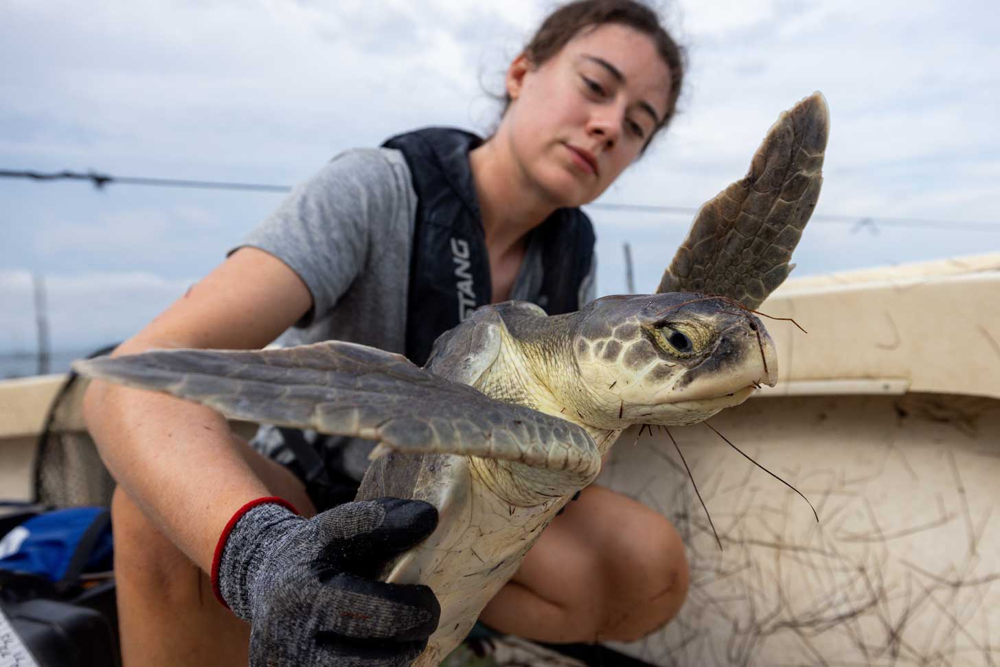 A woman holds a sea turtle in a boat