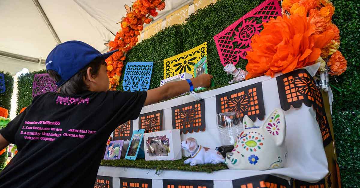 A boy places a trinket on an ofrenda filled with photos of pets and orange flowers