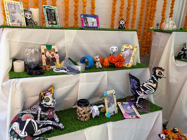 Framed photos of pets sit next to flowers and figurines in an ofrenda