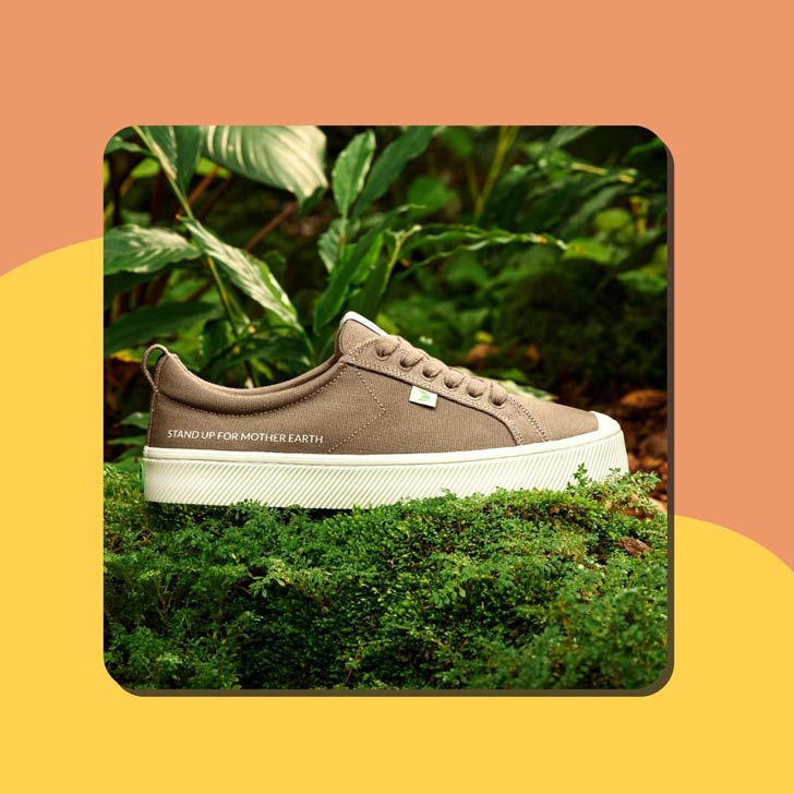 A brown canvas Cariuma sneaker on a lush green backdrop
