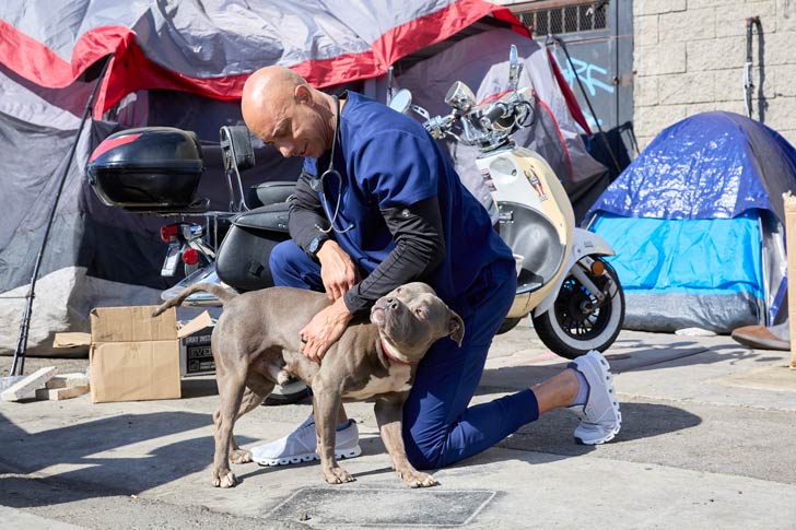 A vet bends down to pet a pitbull outside of a homeless encampment in California
