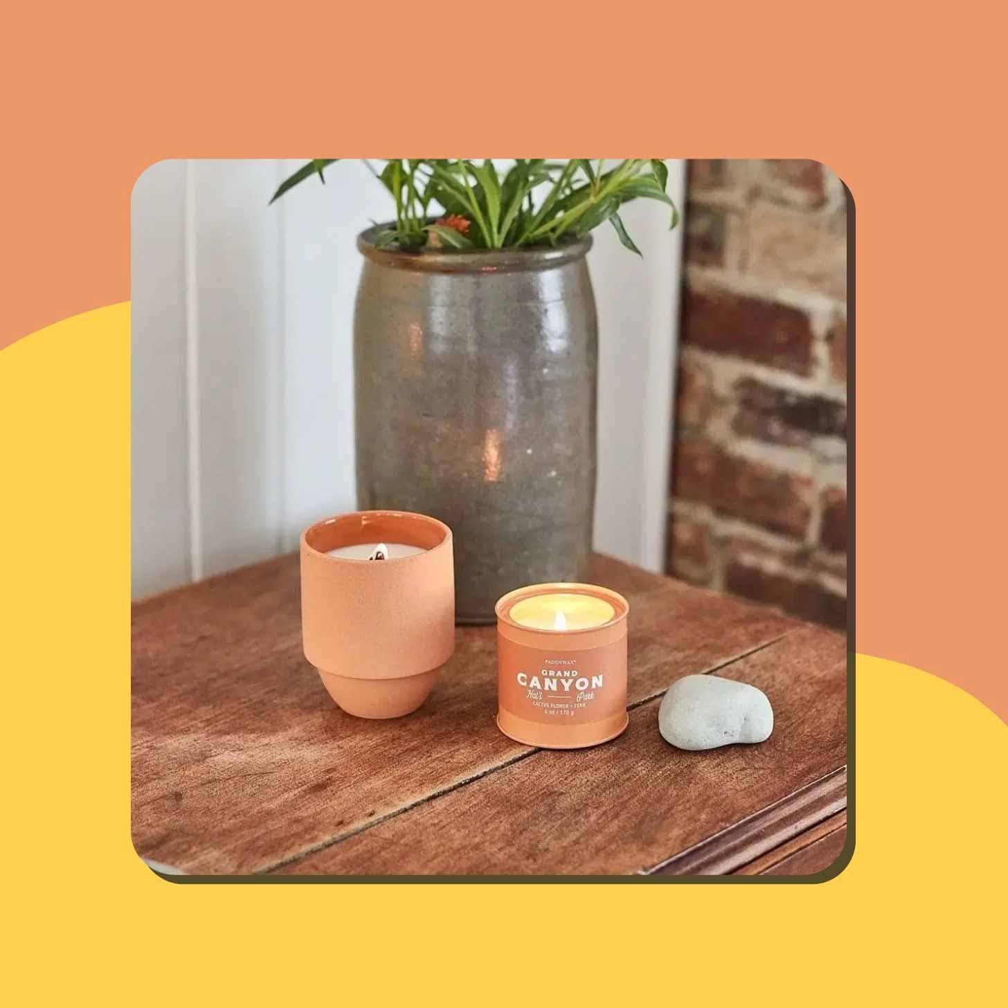A Paddywax candle in a clay vessel next to a potted plant