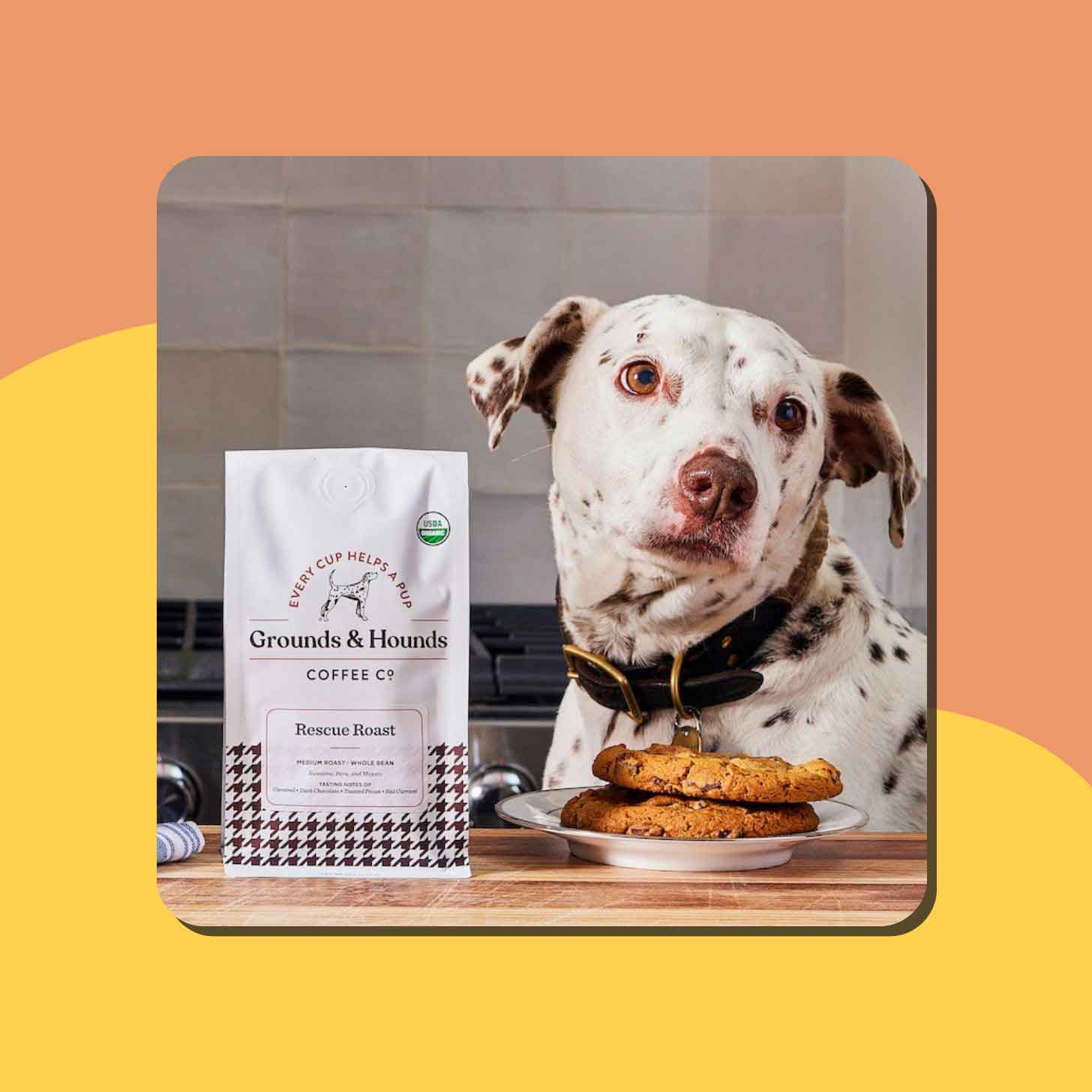 A dog sits next to a kitchen counter, where a bag of Grounds & Hounds Coffee beans sits on the counter