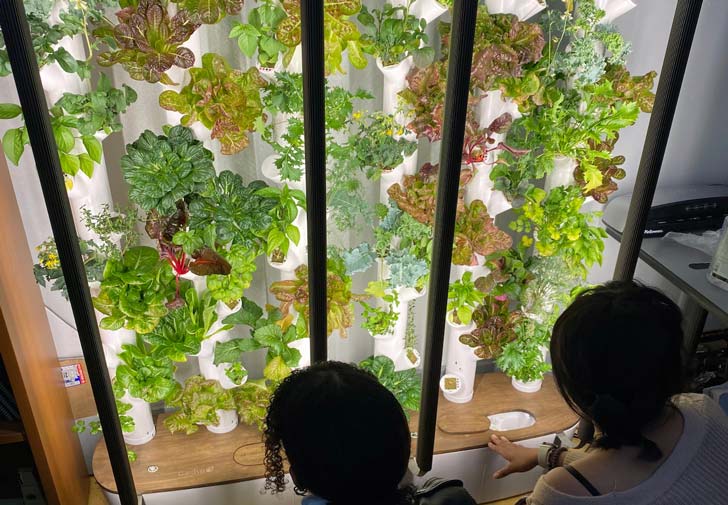 Two young women look at plants growing in a hydroponic garden