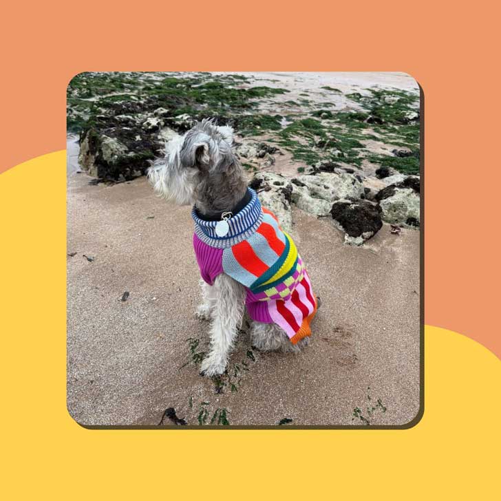 18 Best Gifts For Animal Lovers (That Give Back)