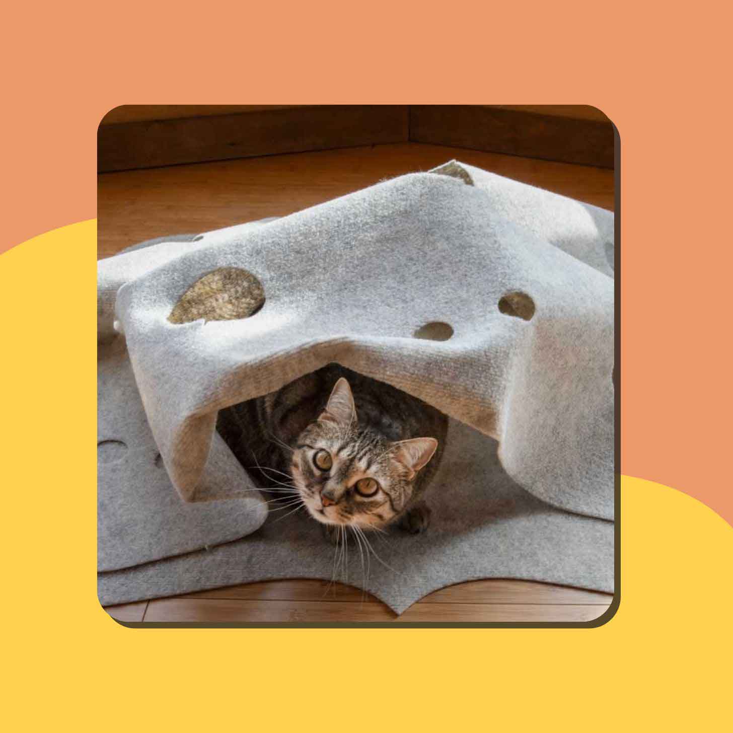 18 Best Gifts For Animal Lovers (That Give Back)