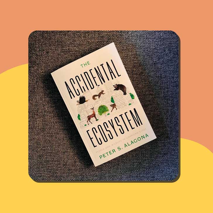 18 Best Gifts For Animal Lovers (That Give Back)