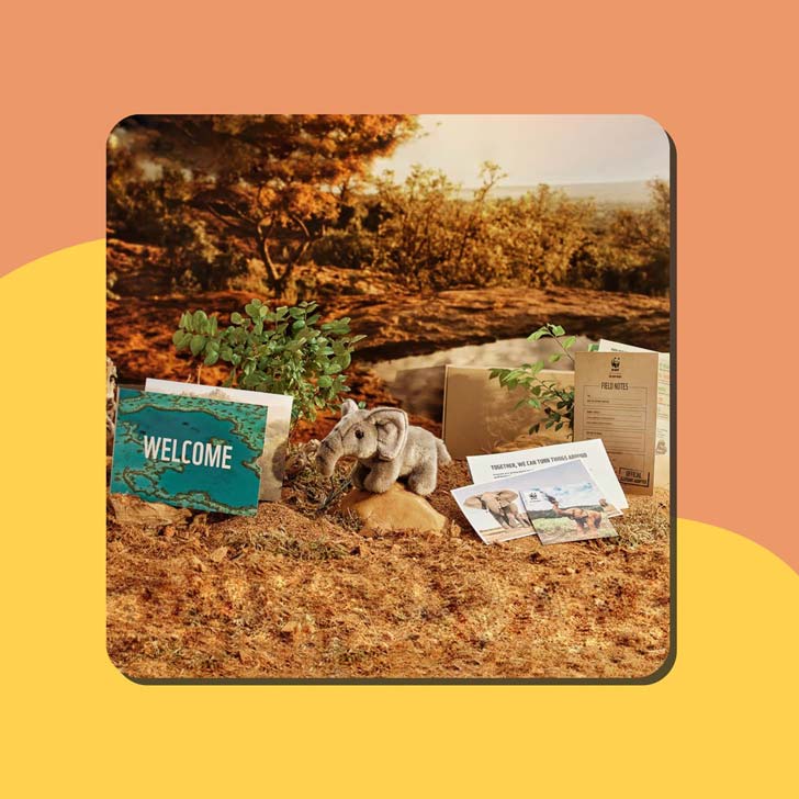 18 Best Gifts For Animal Lovers (That Give Back)