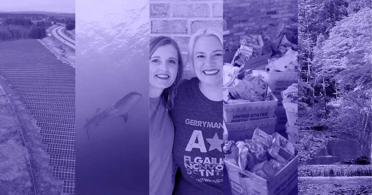 A photo collage of a solar farm, a whale shark swimming in the deep ocean, members of the Can't Win Victory Fund coalition, boxes and containers full of groceries for a food drive, and a forest