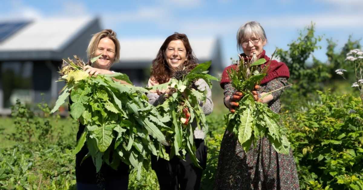 A trio of smiling women hold up green plants in their hands