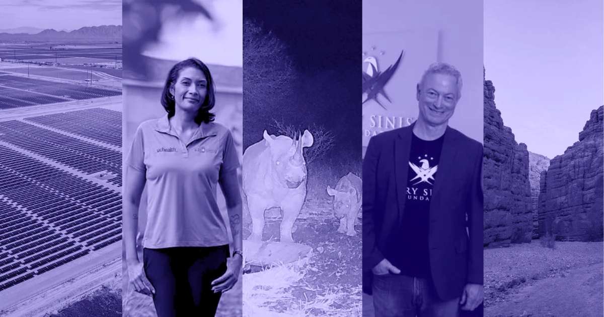 A photo collage of a solar farm, Remy Tucker, entrepreneur and founder of 'On The House', a Black Rhino mother with its calf, Gary Sinise posing for a photo, and canyons