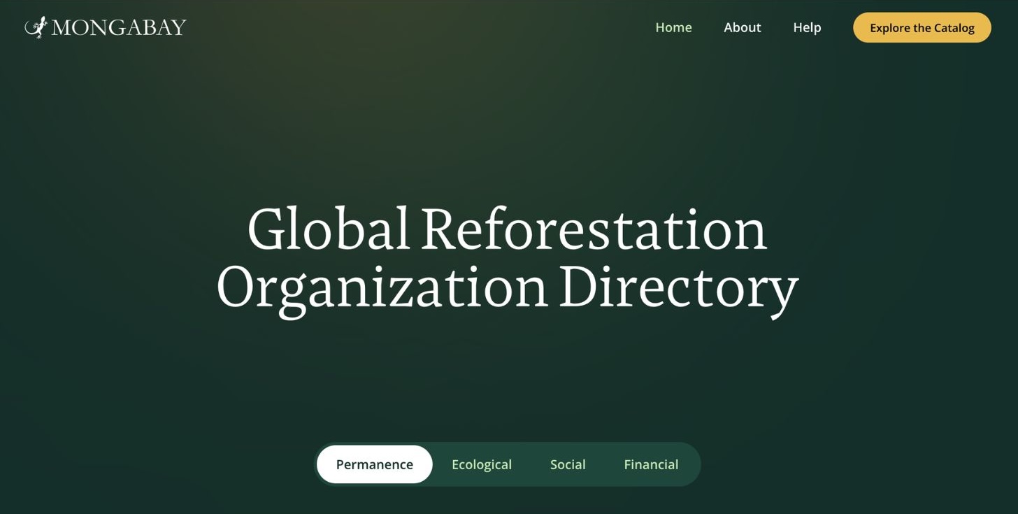 A screenshot of Mongabay's Global Reforestation Organization Directory website