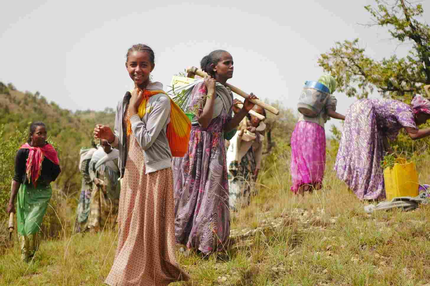 Women planting seedlings in one of the oldest remaining dry afromontane forests in Ethiopia. Photo courtesy of DVCorstanje / WeForest.