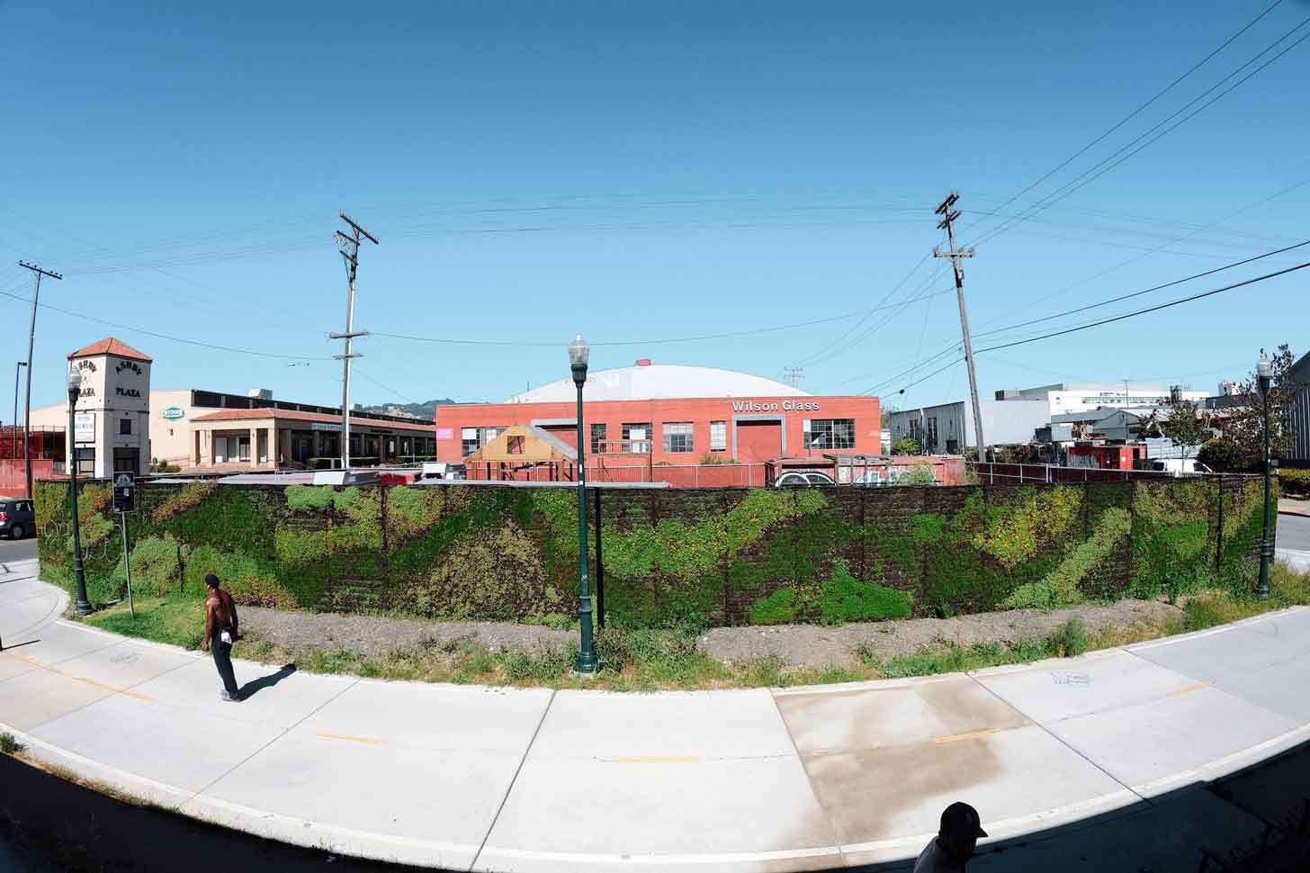 A fish-eye view of a green wall in Berkeley, CA