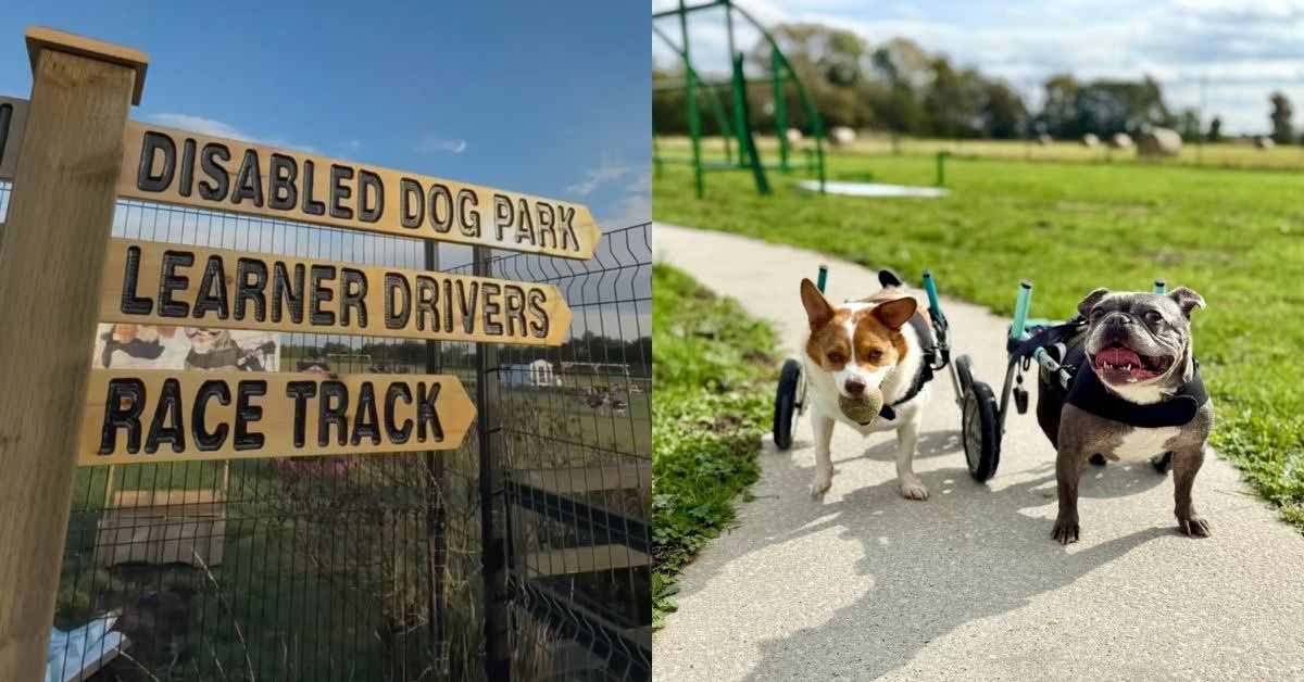 Two photos side by side. On the left is a wooden sign for a disabled dog park. On the right are two dogs with wheelchairs on a curving path