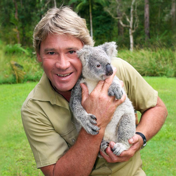 Steve Irwin holds a koala