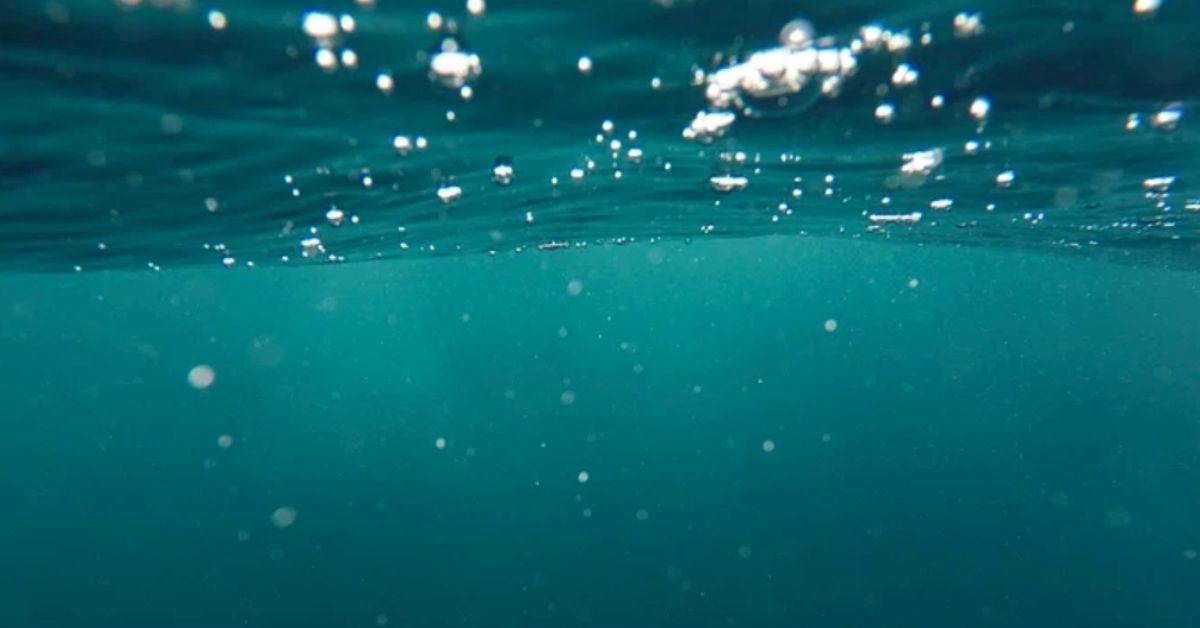 Sunlight filtering through the ocean's surface