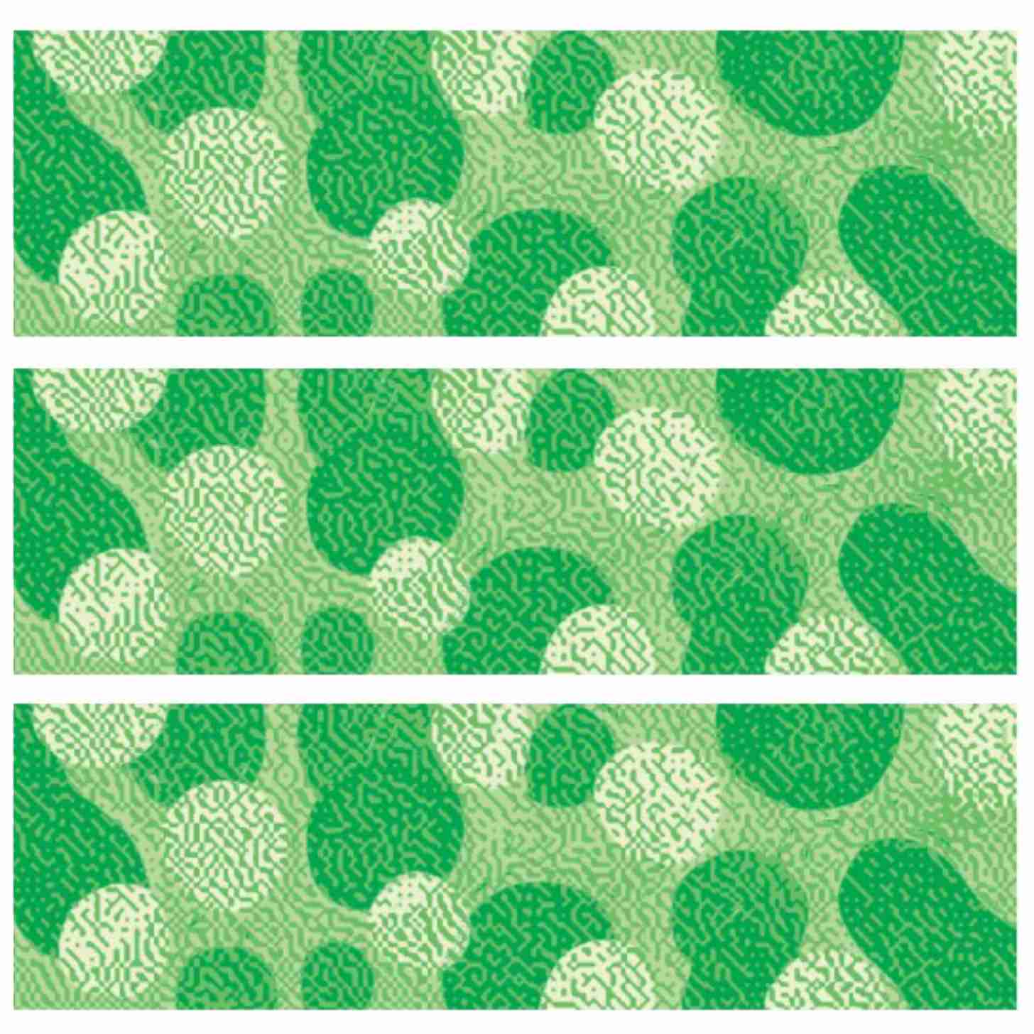 Three identical illustrations of a cluster of bacteria in green and white
