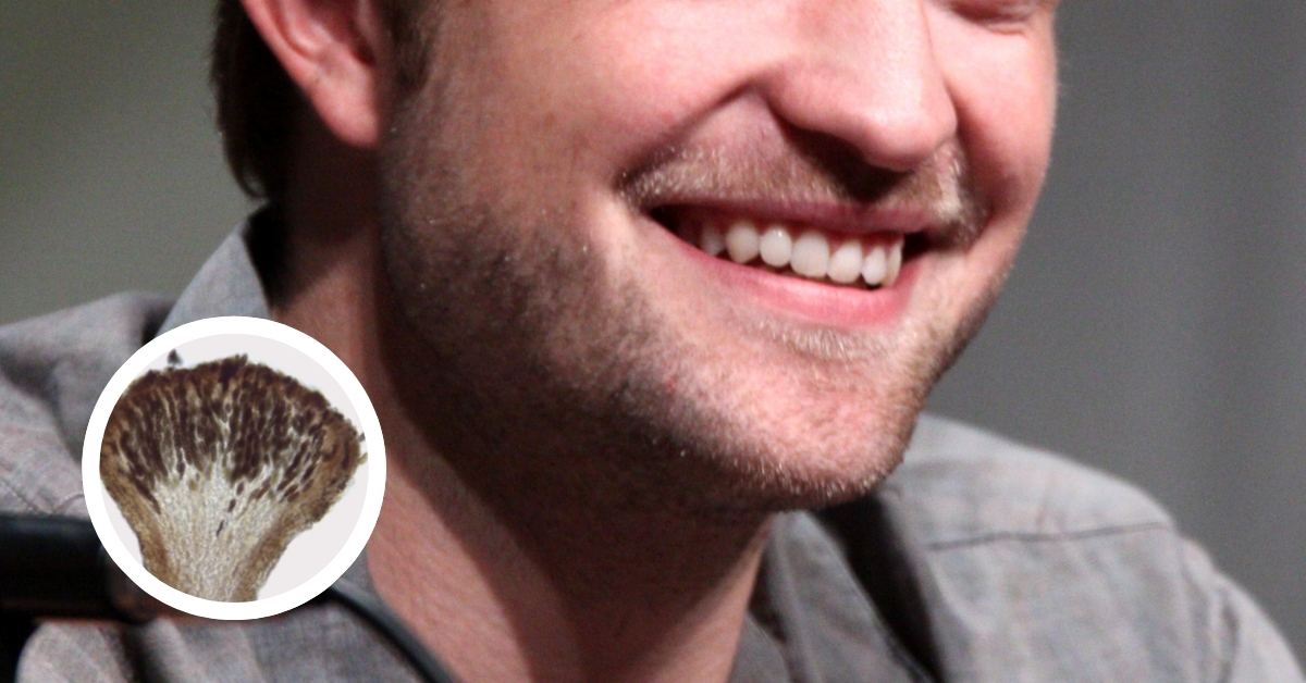 Wide: A picture of Robert Pattinson sporting a beard and smiling in a close-up. In a smaller insert: a microscopic image of a mushroom