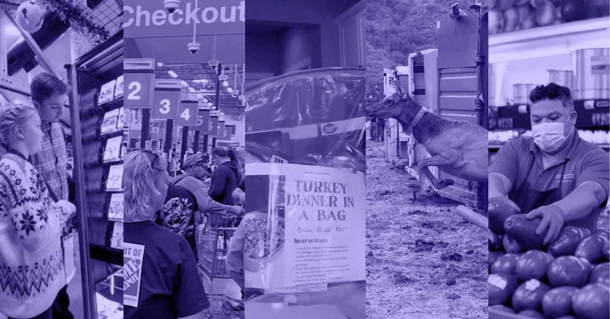 A photo collage of two kids in front of a vending machine, the checkout counters at Home Depot, a bag with the label 'Turkey Dinner In A Bag', an animal seen in frame with shipping containers behind it, and a man wearing a face mask organizing produce at a grocery store