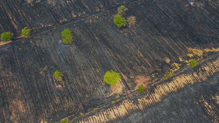 An aerial view of deforested land in Portugal