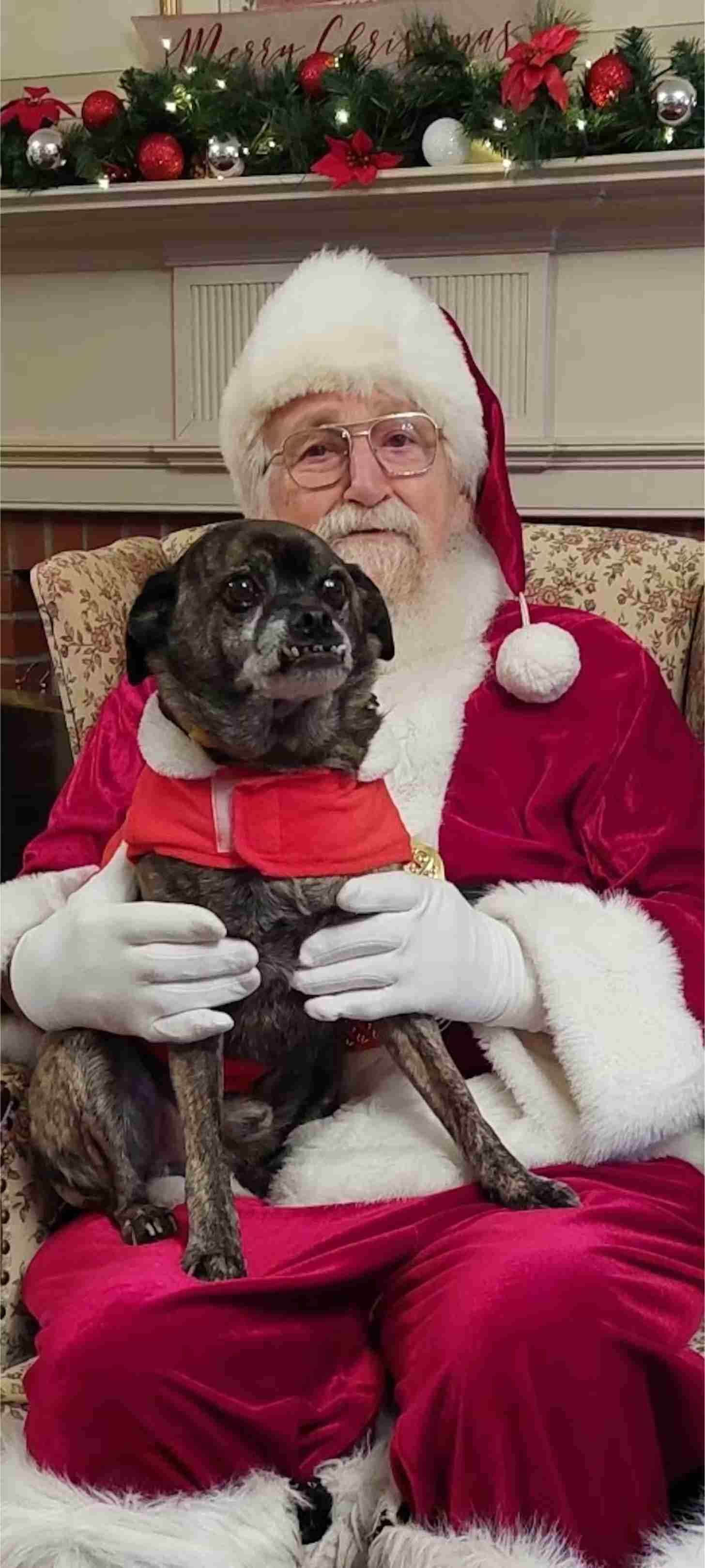 Man dressed as Santa holds a dog on his lap.