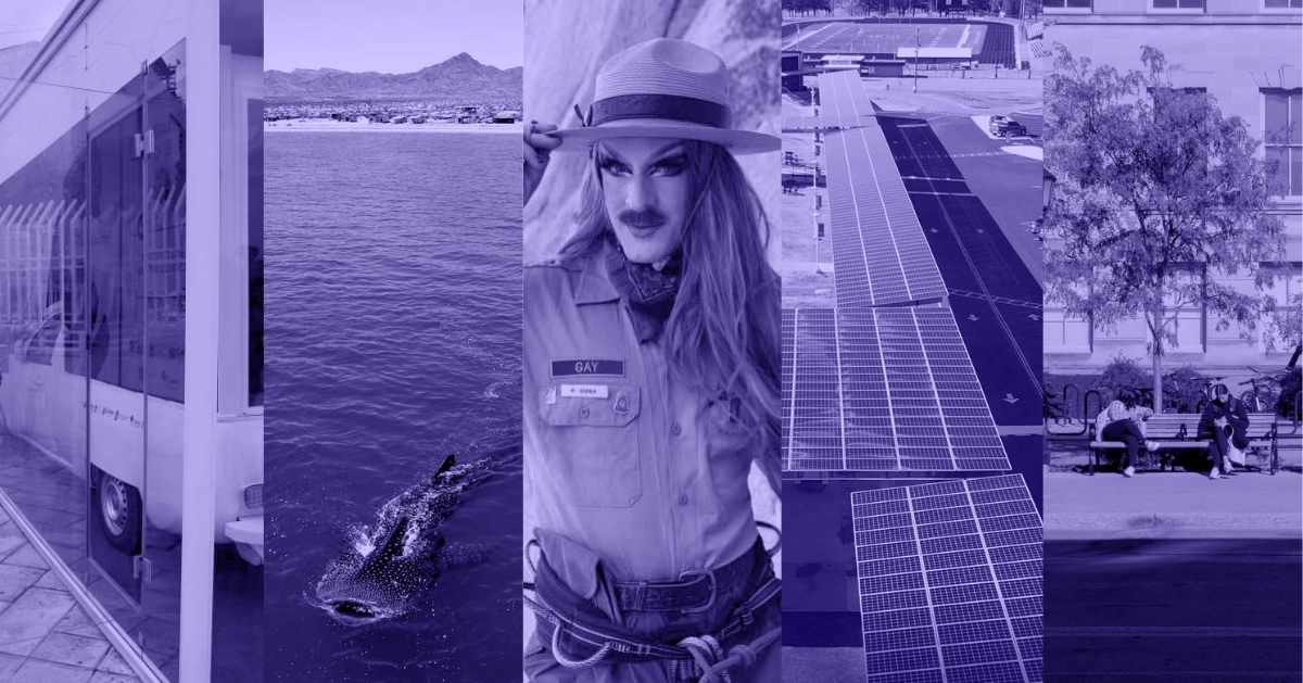 A photo collage of a popemobile encased in glass, a whale shark swims in the ocean, Pattie Gonia poses for a photo, solar panels cover a parking lot, and two people sitting on a bench